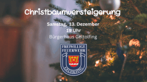 Mehr über den Artikel erfahren Christbaumversteigerung am 13. Dezember 2025